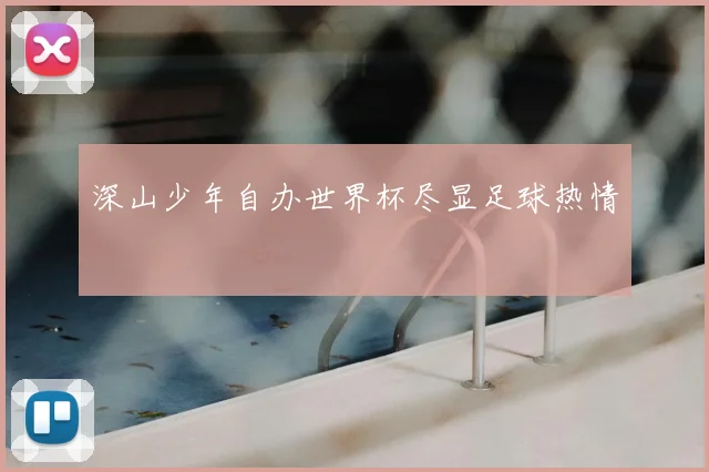 深山少年自办世界杯尽显足球热情