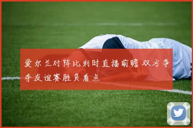 爱尔兰对阵比利时直播前瞻 双方争夺友谊赛胜负看点