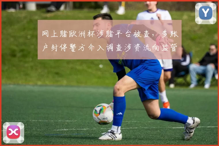 网上赌欧洲杯涉赌平台被查，多账户封停警方介入调查涉资流向监管收紧