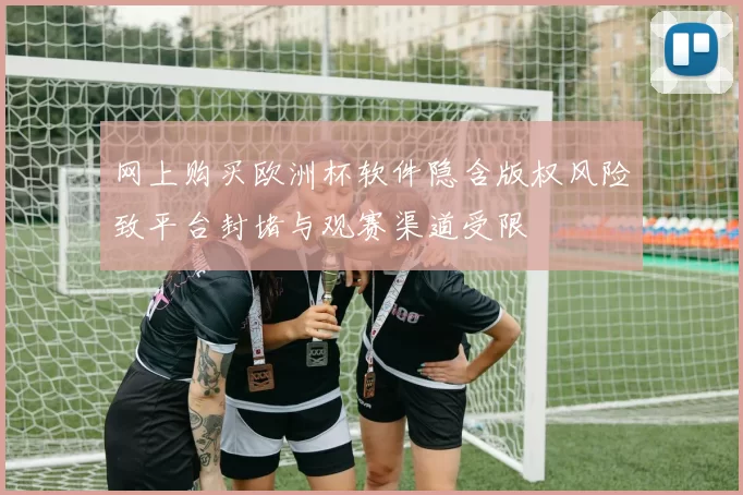 网上购买欧洲杯软件隐含版权风险致平台封堵与观赛渠道受限